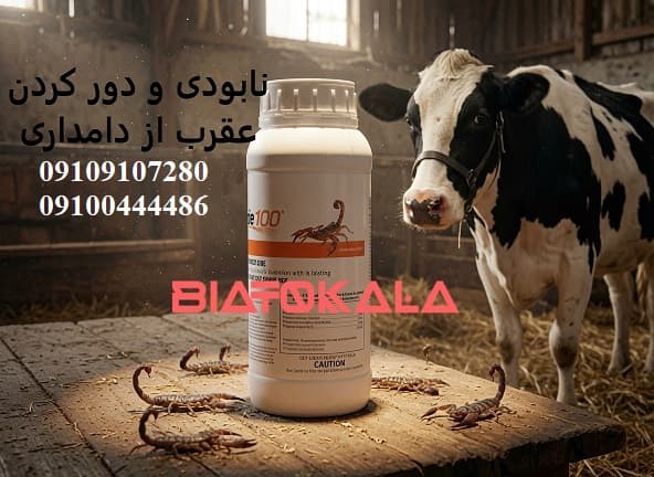 عوارض نیش عقرب برای انسان و حیوانات 